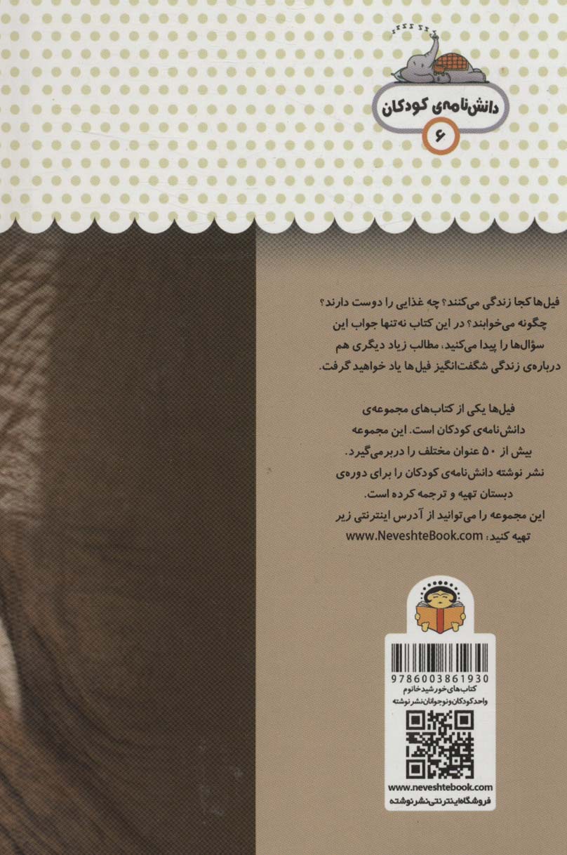 یک فنجان دانستنی درباره ی فیل ها (دانش نامه ی کودکان 6)،(گلاسه)