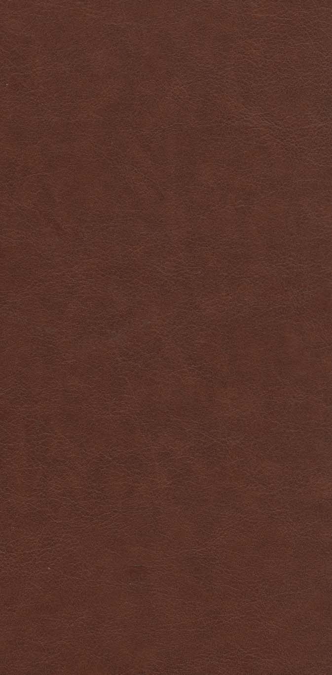 کلیات شمس تبریزی (2جلدی،چرم،پلدار،پلاک رنگی،لیزری،باقاب)
