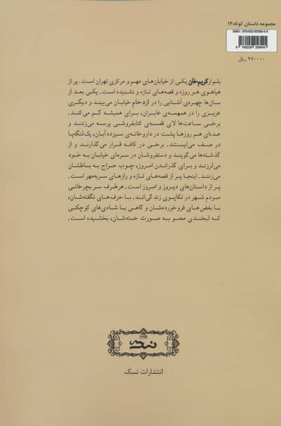 شهر دفن شده در برف 