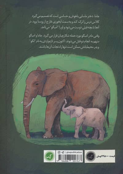 دختر فیلی