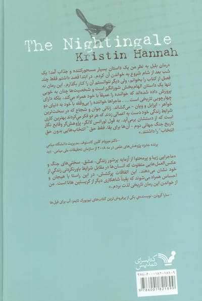 بلبل