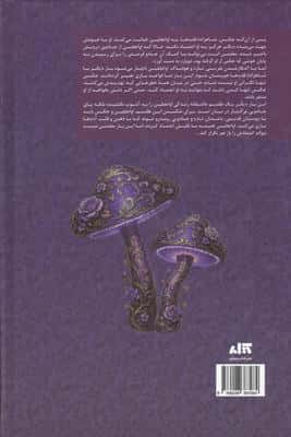 افسانه بی فرجام 