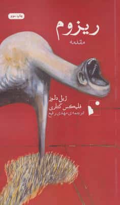 مقدمه ریزوم