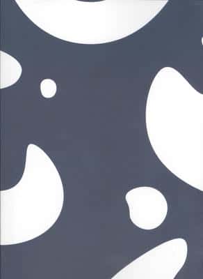 دفتر یادداشت طرح OCEAN (کد 074)