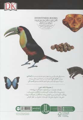 آمازون (شاهد عینی)،(گلاسه)