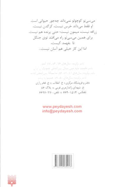می سی نو کوچولو