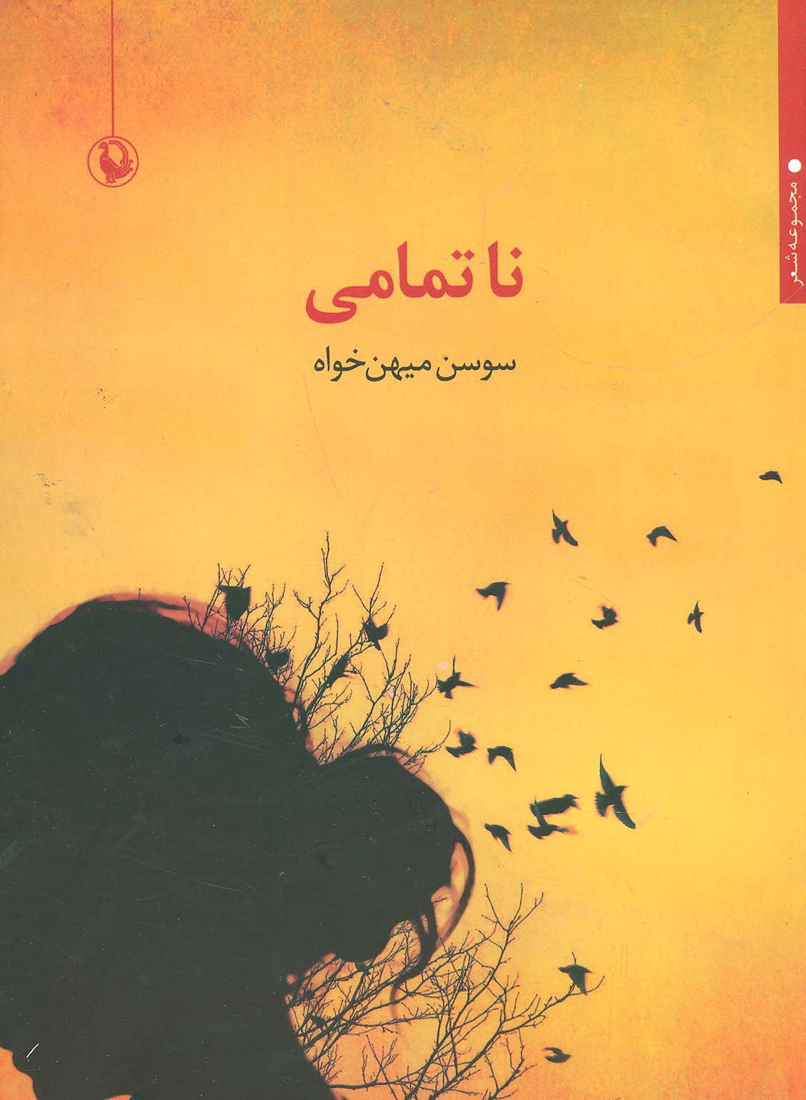 ناتمامی (مجموعه شعر)