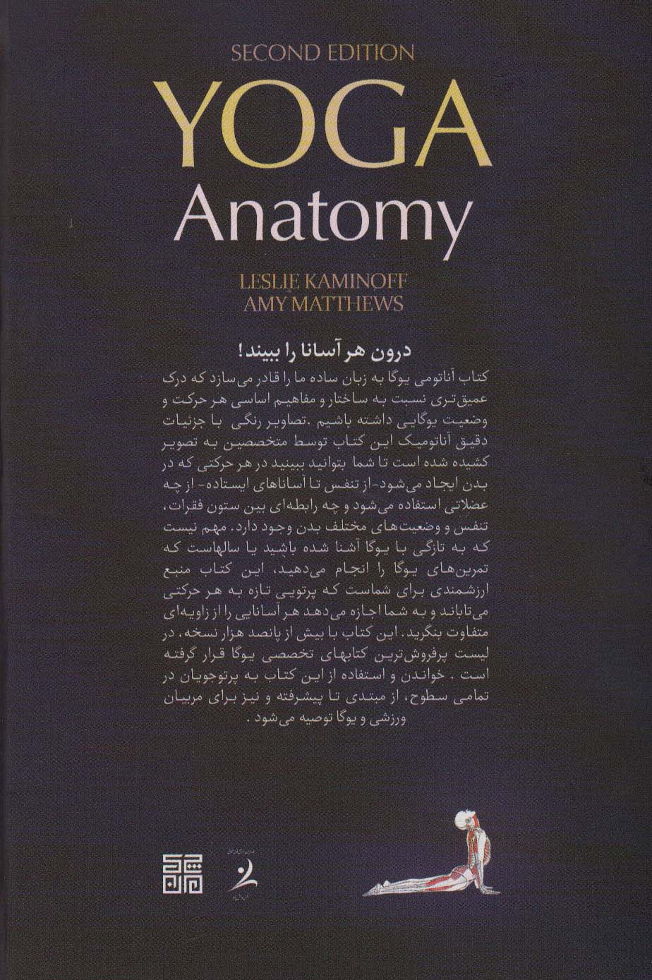 آناتومی یوگا به زبان ساده 