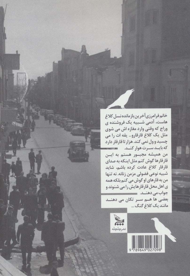 کلاغ های قیطریه
