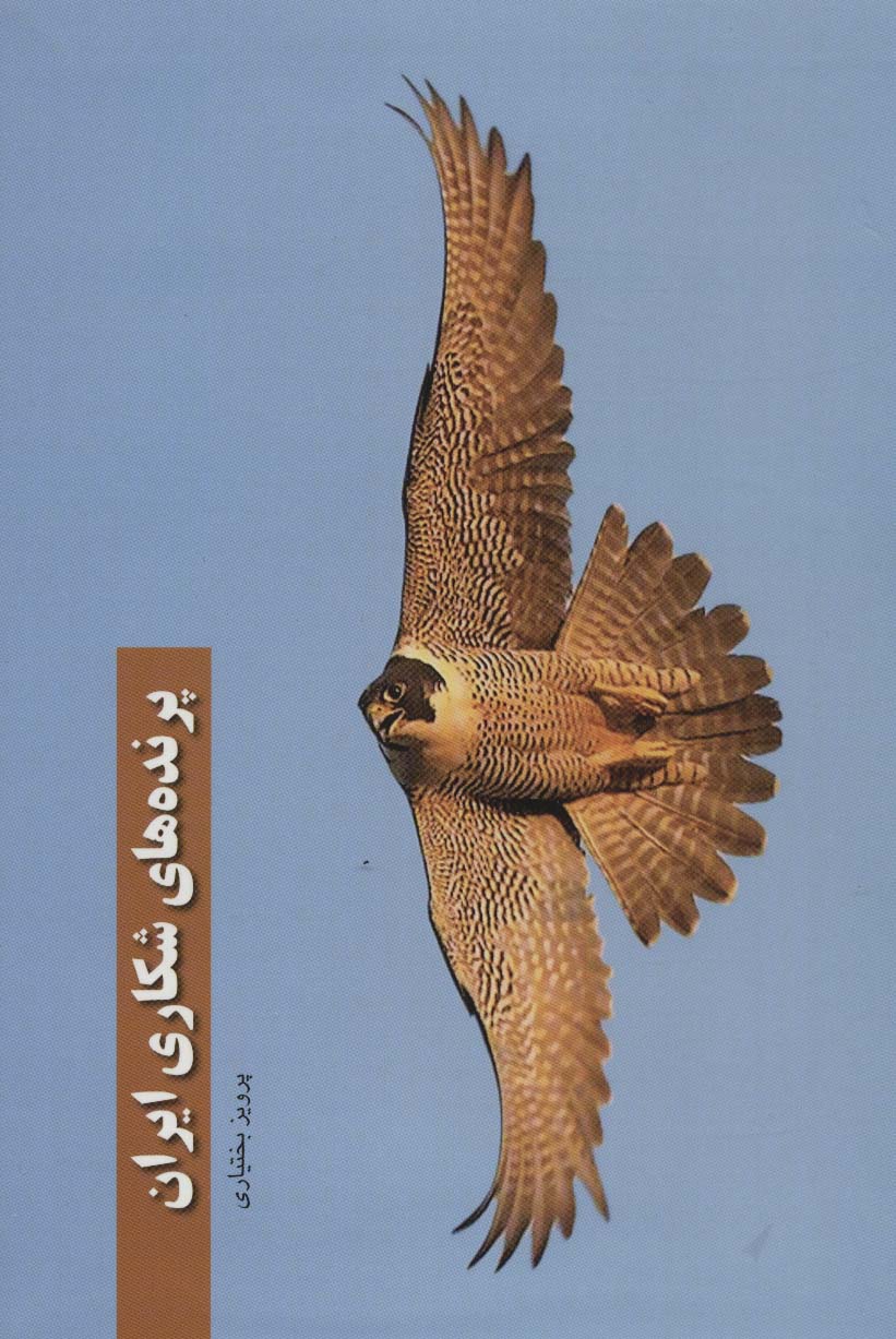 پرنده های شکاری ایران (گلاسه)