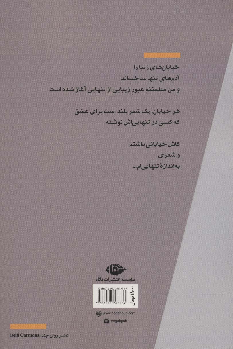 عبور زیبایی از تنهایی (مجموعه شعر)