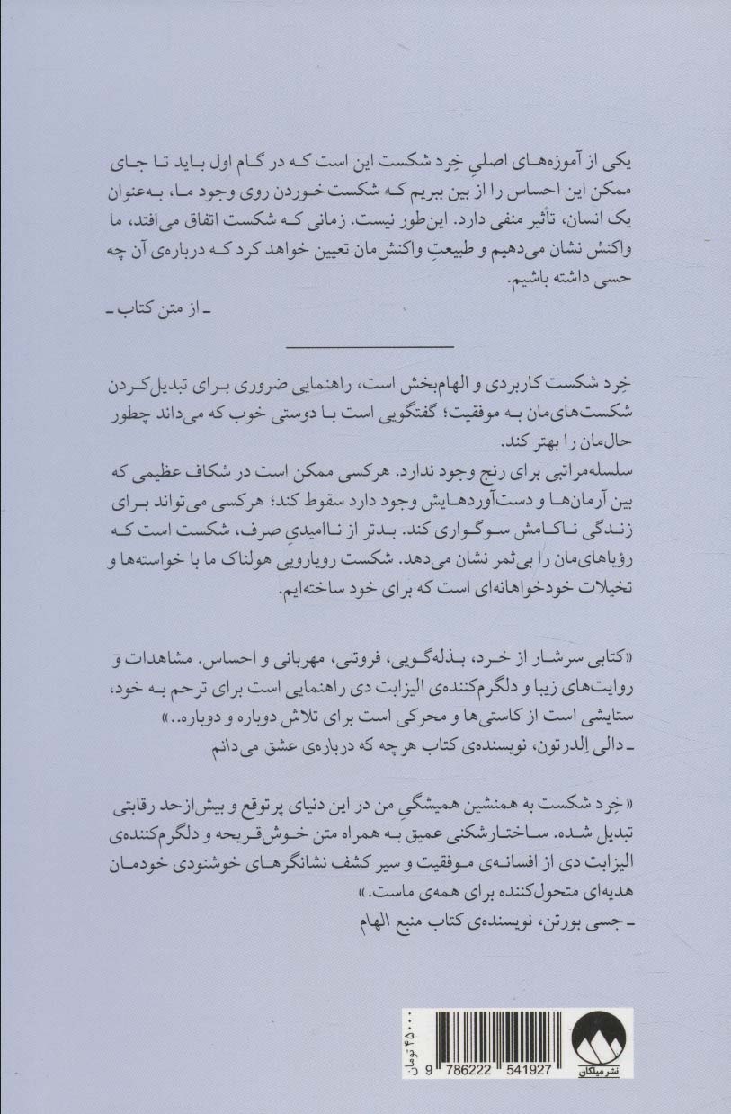 خرد شکست:چه کنیم وقتی اوضاع بر وفق مراد نیست!