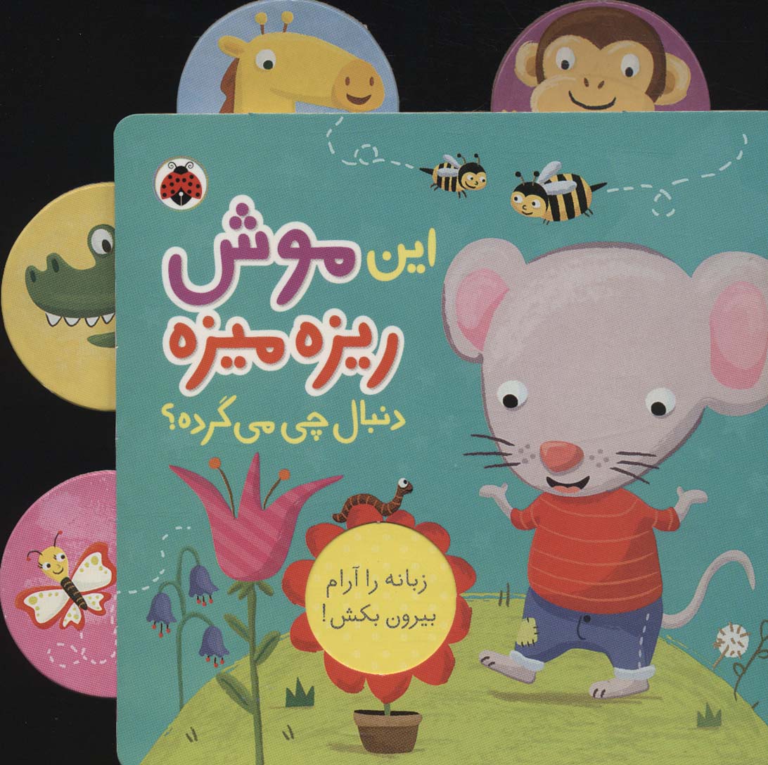این موش ریزه میزه (دنبال چی می گرده؟)،(کتاب کشویی)