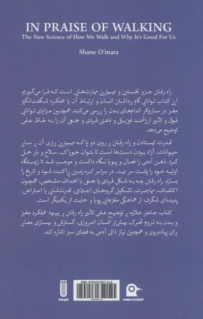 در ستایش راه رفتن