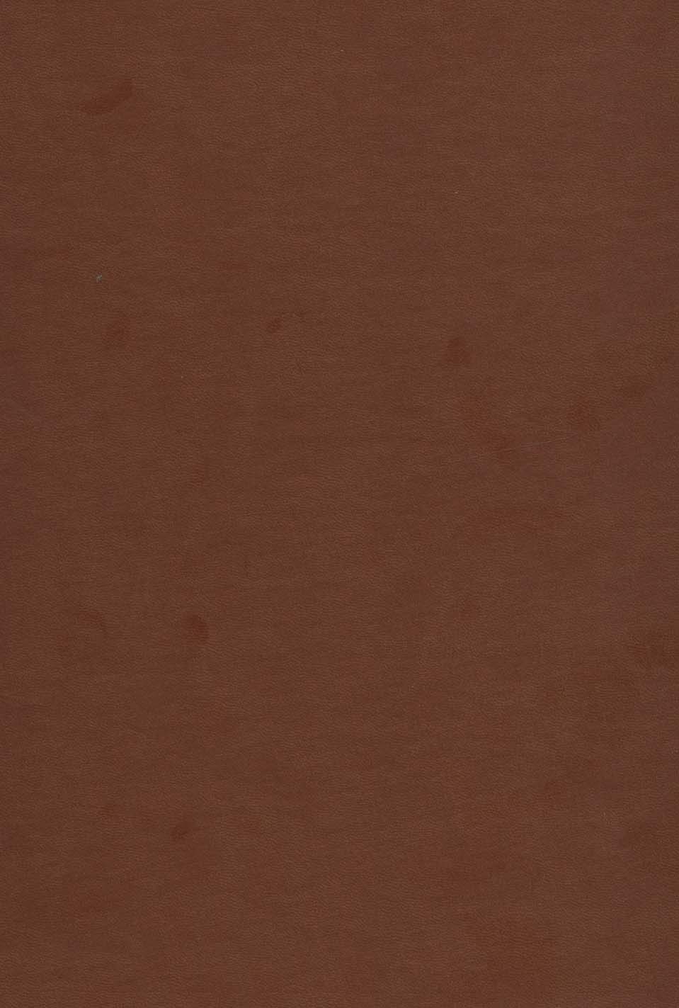 دیوان حافظ به انضمام فال (طرح مس برجسته)،(باقاب)