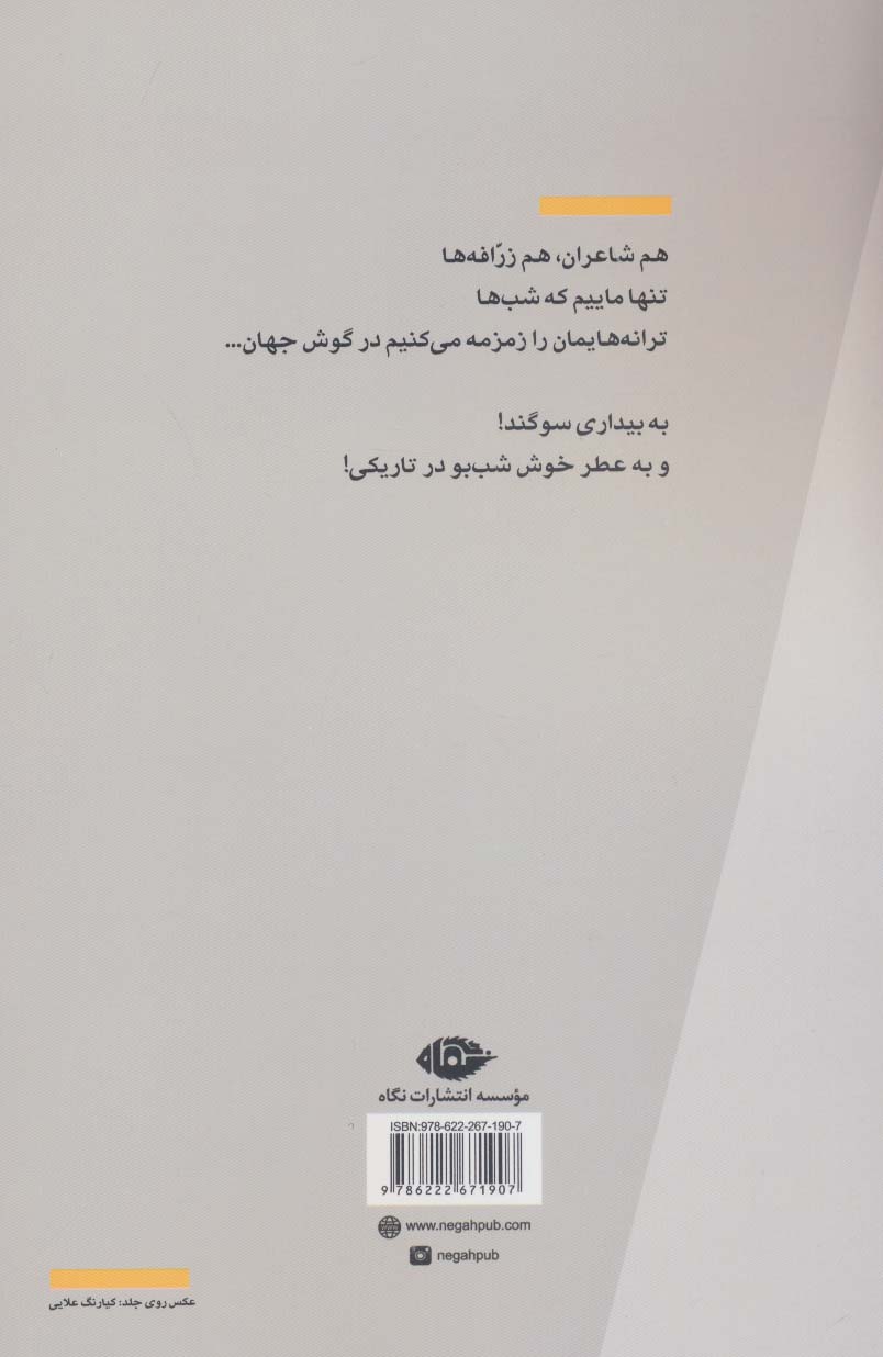 نیم رخ تابستان (مجموعه شعر)
