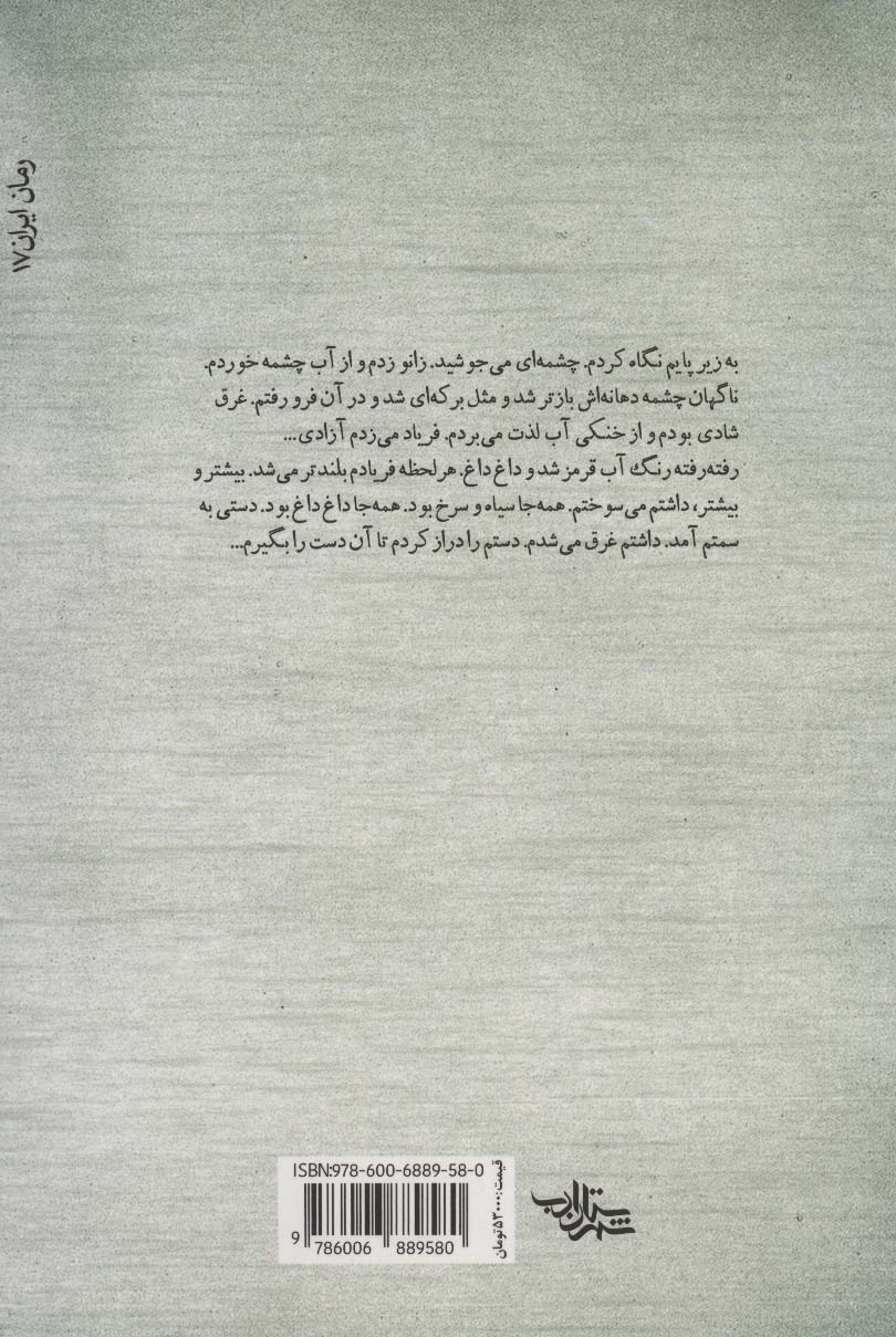 روزگار فراموش شده (داستان ما،رمان ایران17)